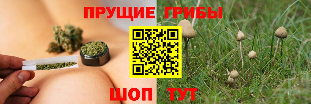Галлюциногенные грибы ЛСД  Вход с VPN  Великие Луки 